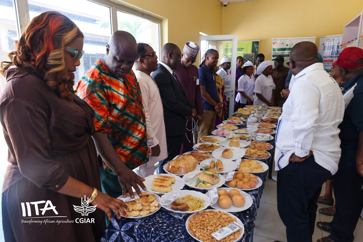 IITA tweet media