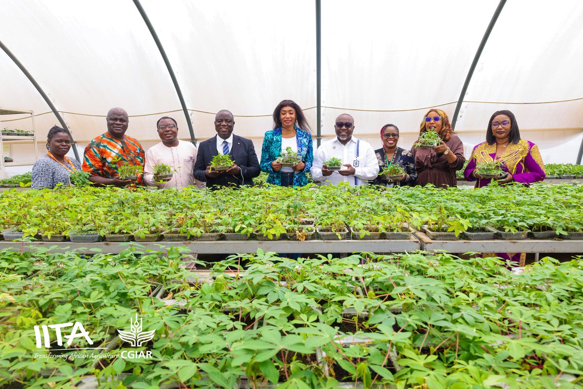 IITA tweet media