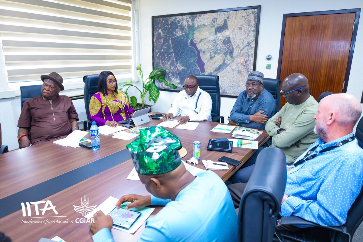 IITA tweet media