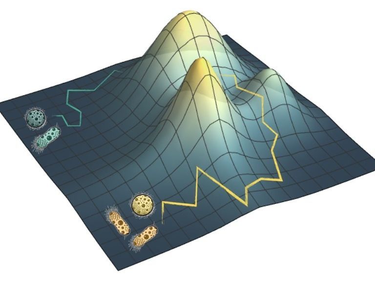Kavli Institute for Theoretical Physics tweet media
