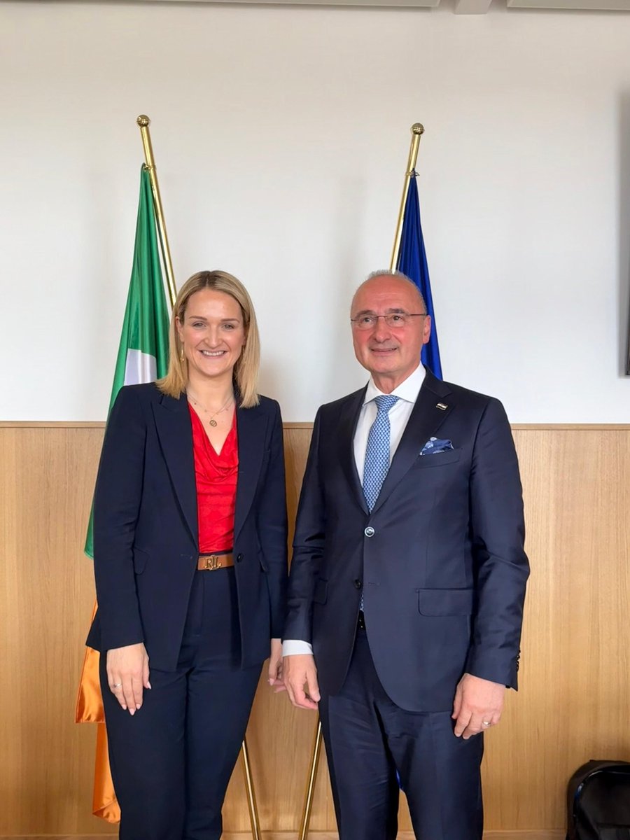 Helen McEntee TD tweet media