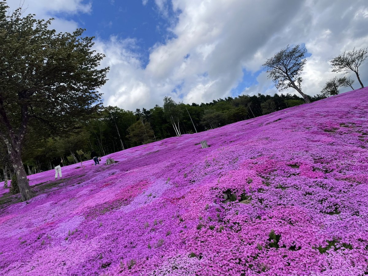 函館あうん堂 tweet media