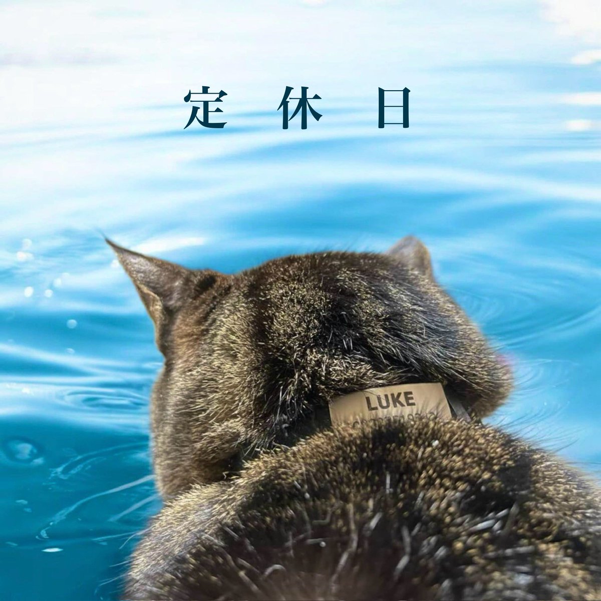 函館あうん堂 tweet media