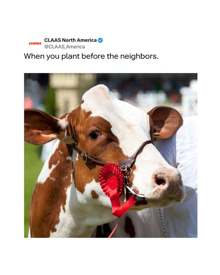 Nebraska Harvest tweet media
