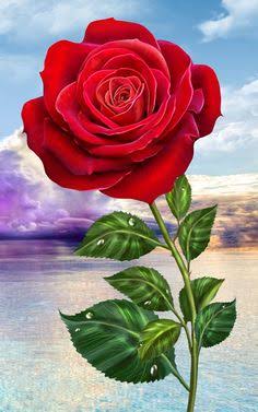 Kamal Khan tweet media
