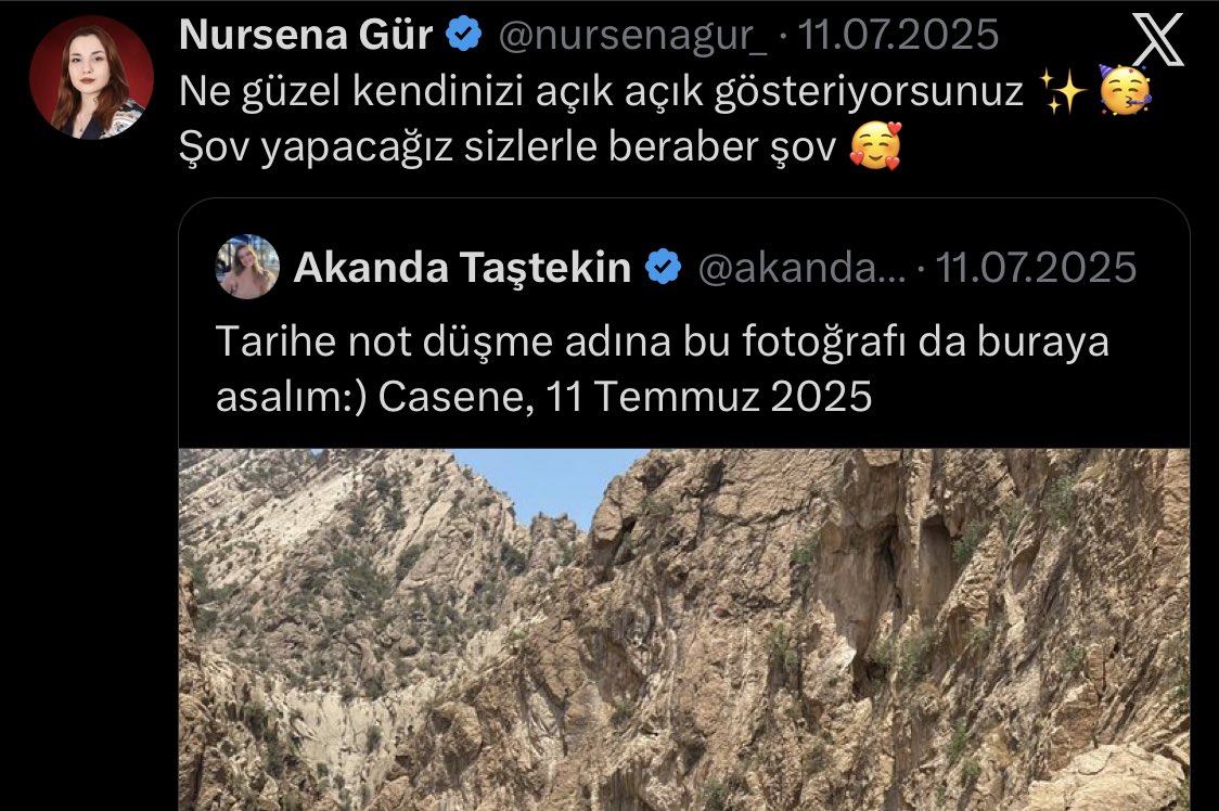 melike tweet media