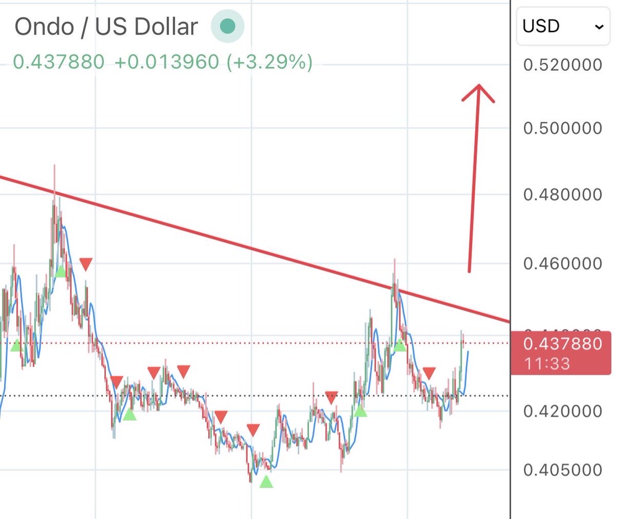wildly bullish tweet media