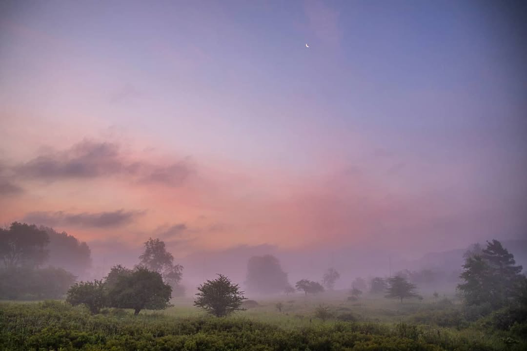 WV State Parks tweet media