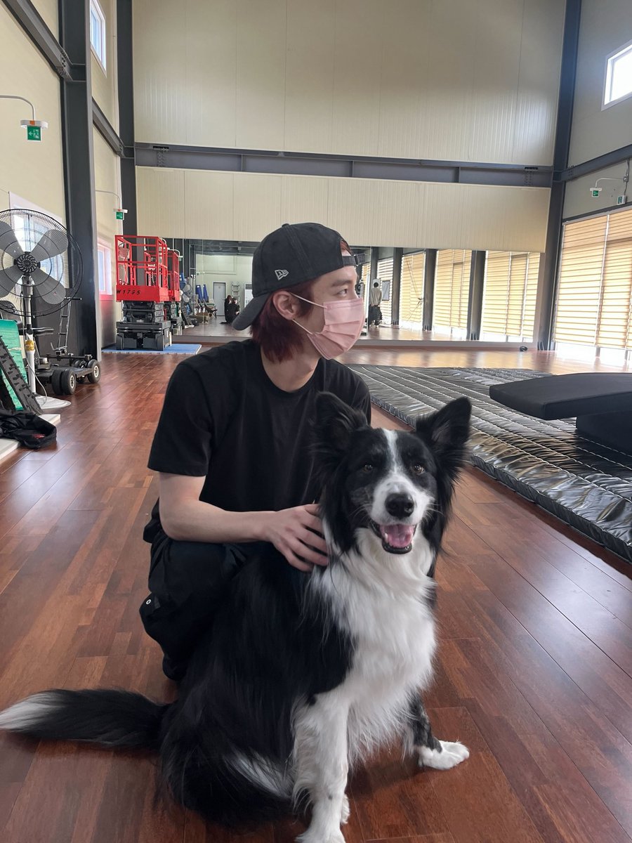 leehang21's tweet photo. 260512 위버스 포스트 #이한

아니 이하니 사진이 이렇게 많다니 ..9_9 https://t.co/xDkeuU1kPP