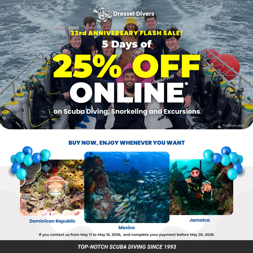 DRESSELDIVERS tweet media