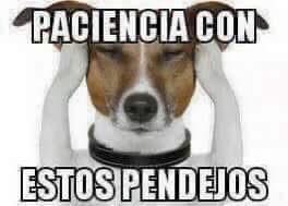 Alberto Alatorre tweet media