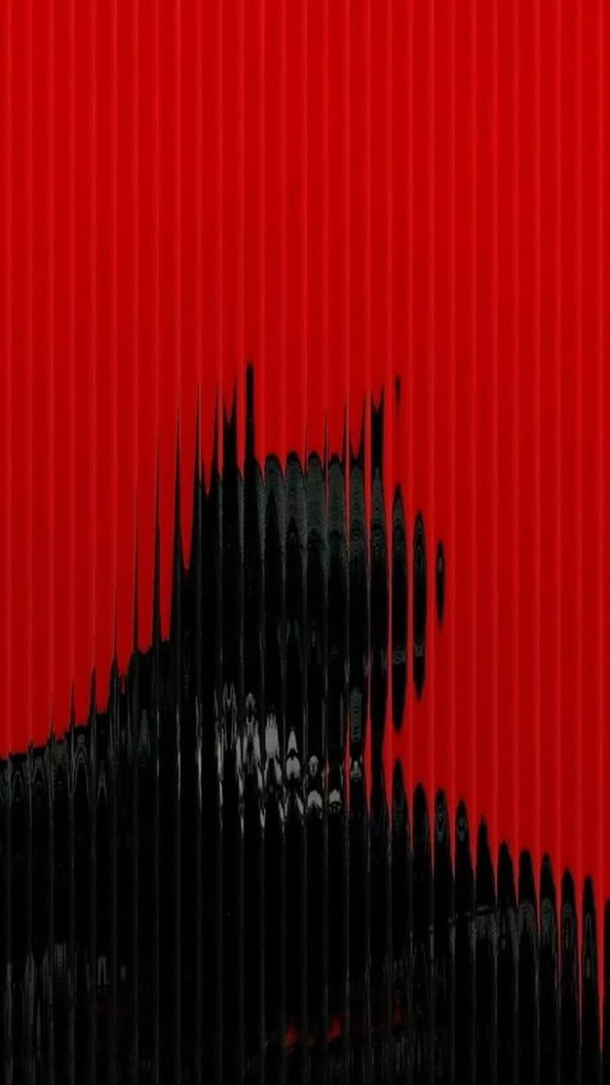 Bat Wave 🦇 tweet media