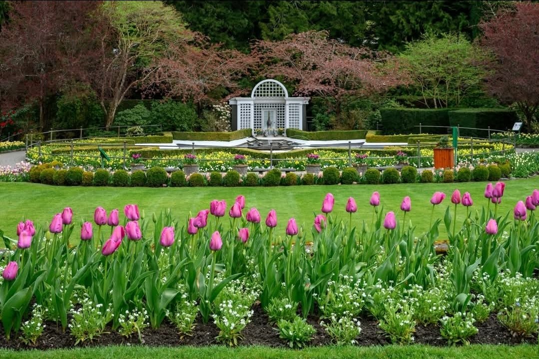 SolisRomani's tweet photo. - time to think or to simply smell the flowers. He is calling it 'Selina's Garden.' He spent most of the month planning this out for her, hopefully she enjoys these gifts and the meanings behind them. https://t.co/W8M6VHBppH