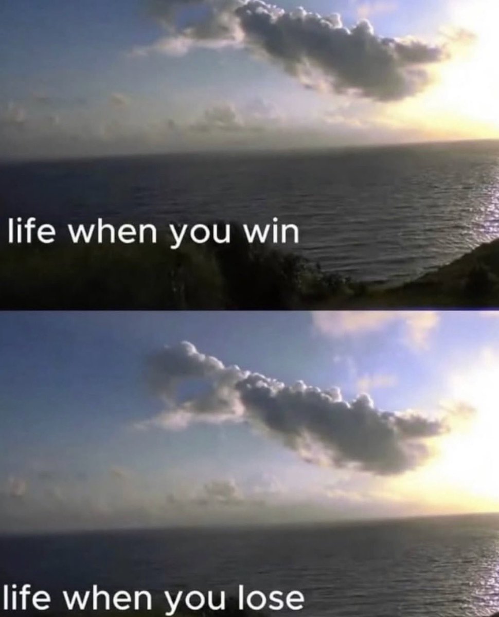 moon, the Creator tweet media