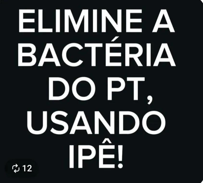EleitoBolsonaro tweet picture