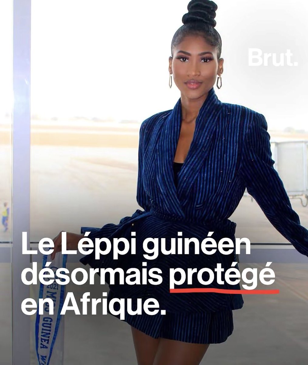 Poulloh🇧🇪 tweet media