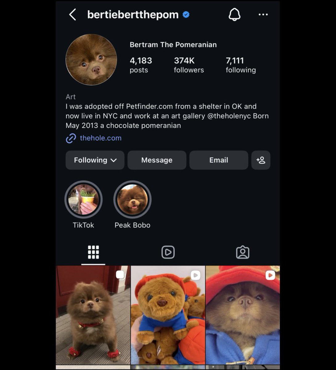 Crypt_crafter26's tweet photo. @trader1sz The difference this time is the setup around it feels cleaner.
SOL memes bouncing + strong community attention is a dangerous combo for $BERT. https://t.co/IDSHXG0bGi
