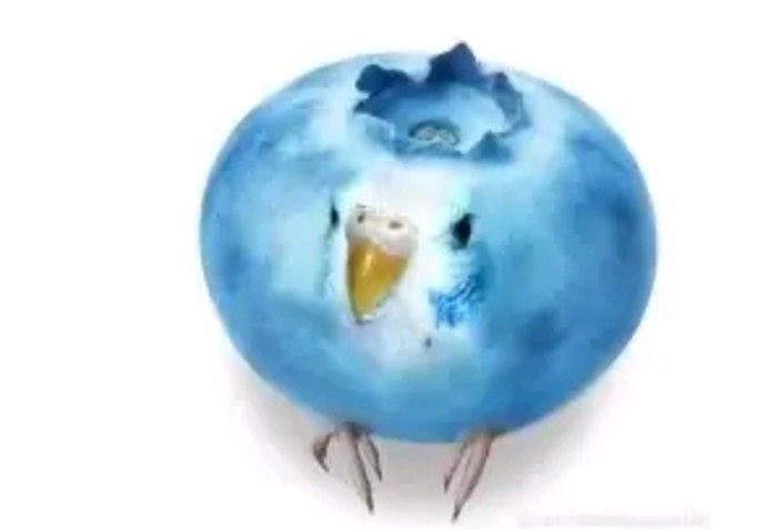 kyzie༉‧₊˚. tweet media