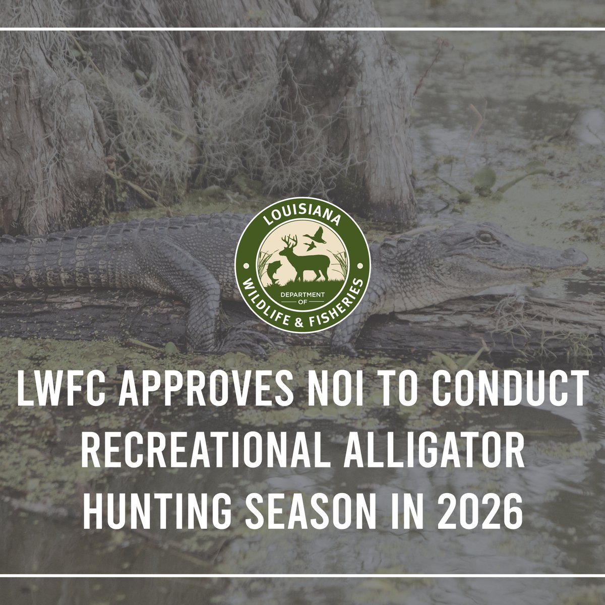 LaWildlife&Fisheries tweet media