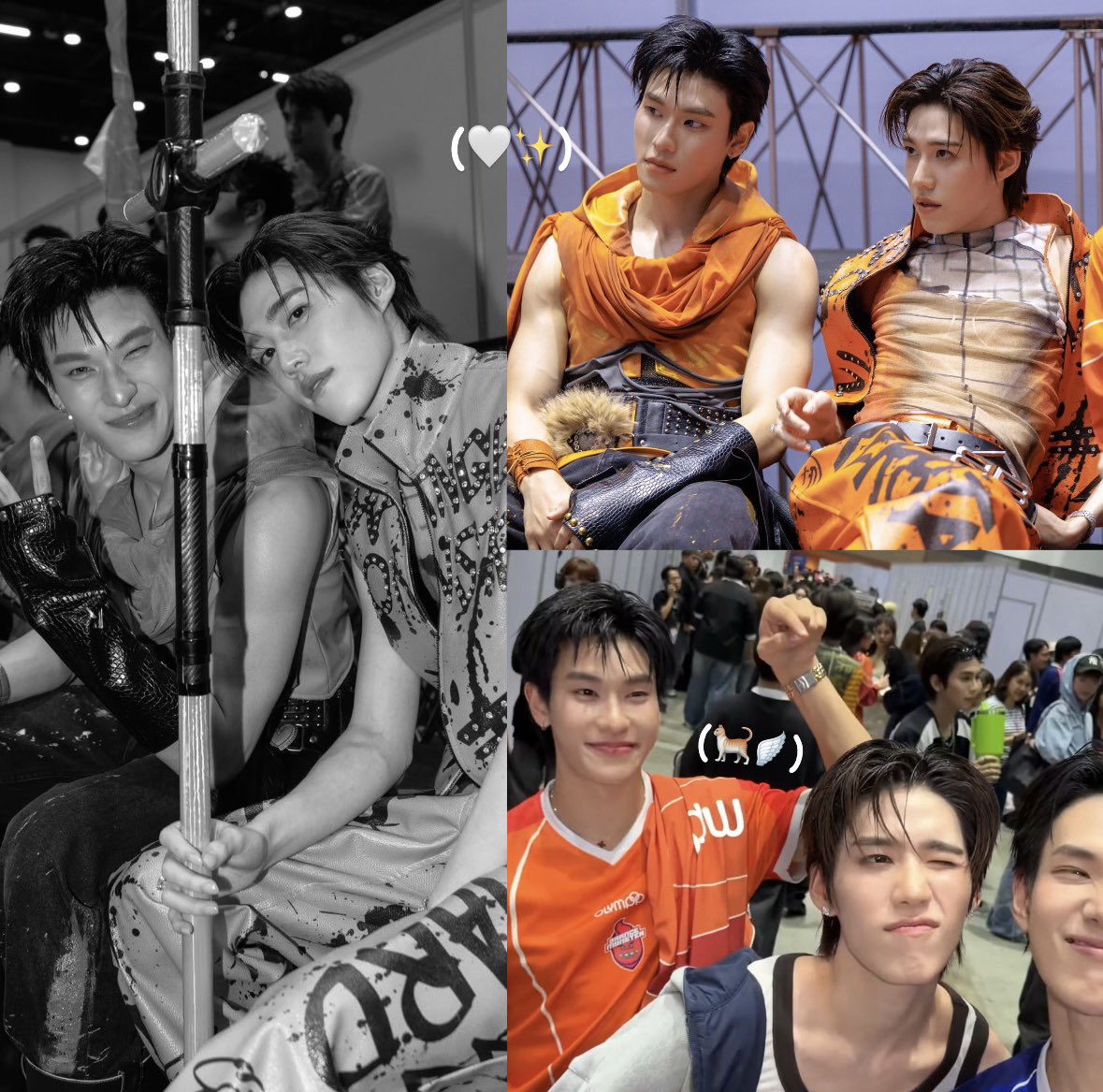 ในฐานะแม่น้องพีพีและน้องออฟโรด ตอนนี้มีความสุขที่สุดในโลกเลยค่ะ( ˃̣̣̥᷄⌓˂̣̣̥᷅ )🐈🤍

#OLYMPOP2026DAY 
꒰ #ออฟโรด #offroadKTP #PPKritt ꒱