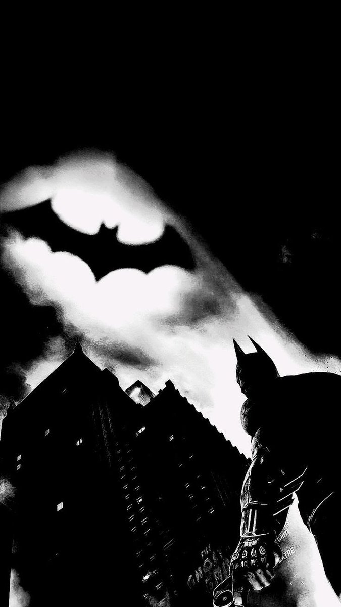 Bat Wave 🦇 tweet media