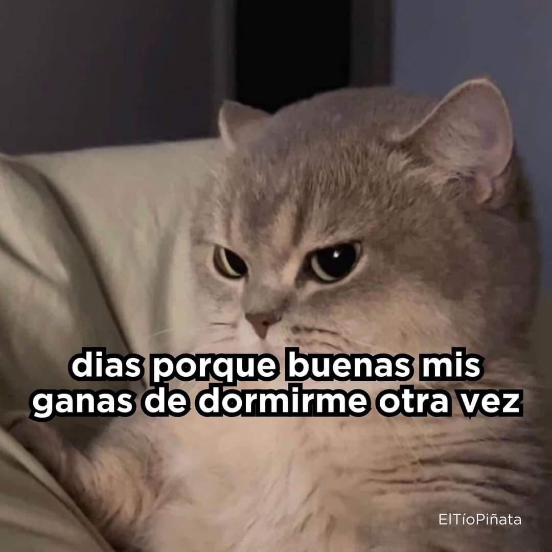 Juan Pablo Estrada tweet media