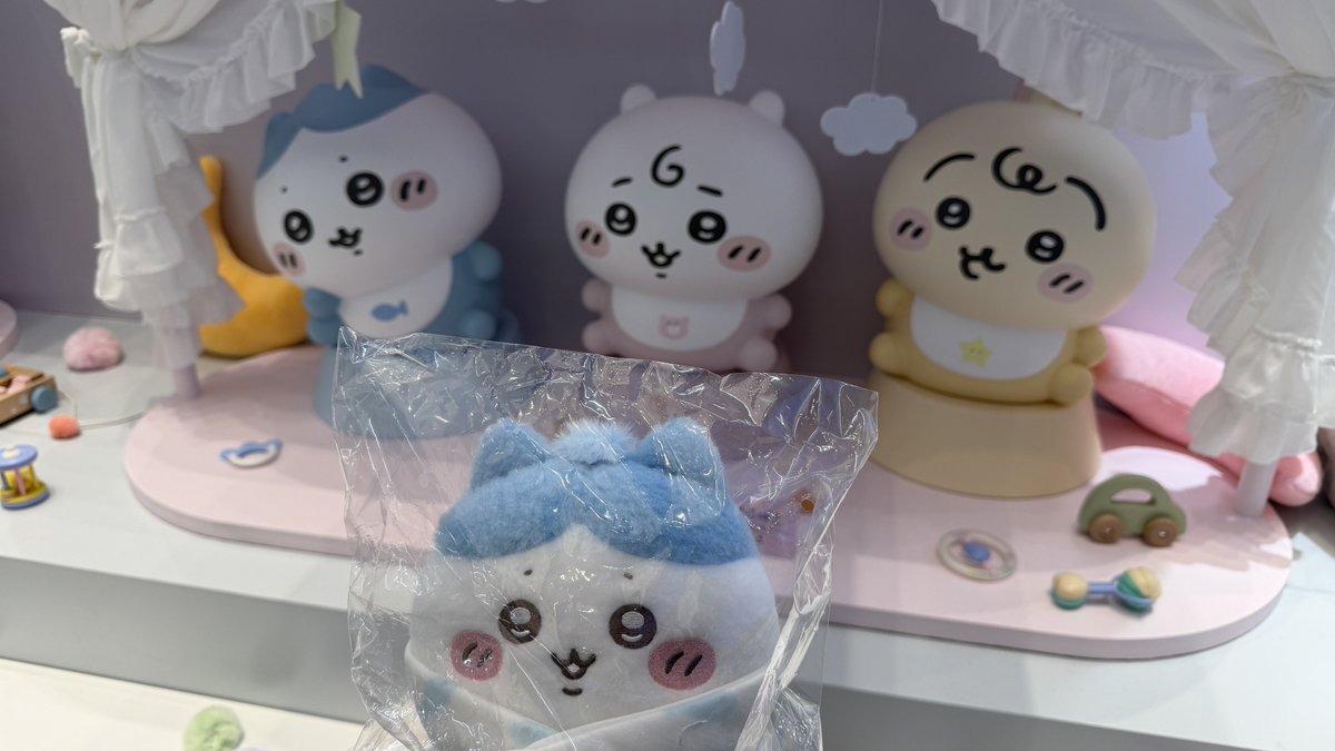 쮜기ᴗ ̫ ᴗ tweet media