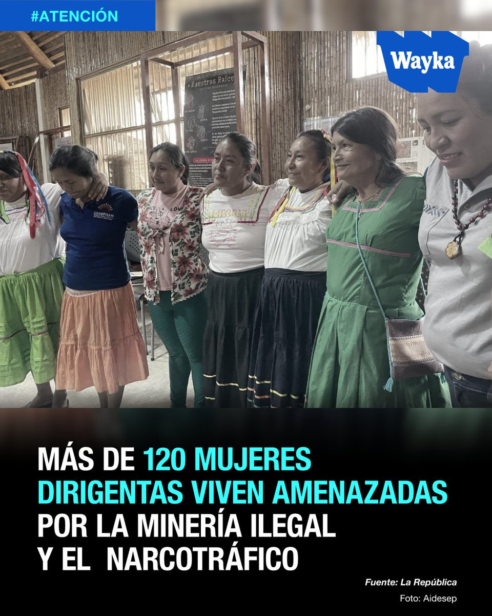 WaykaPeru's tweet photo. Este periodismo solo es posible con tu apoyo: https://t.co/Z4iR5ZWK34

#Atención | 🚨Según Aidesep, alrededor de unas 120 mujeres dirigentas de la Amazonía viven bajo amenazas de muerte provenientes de mafias de tala ilegal, narcotráfico y/o minería ilegal; informó La República. https://t.co/LIWnWQD1Yw