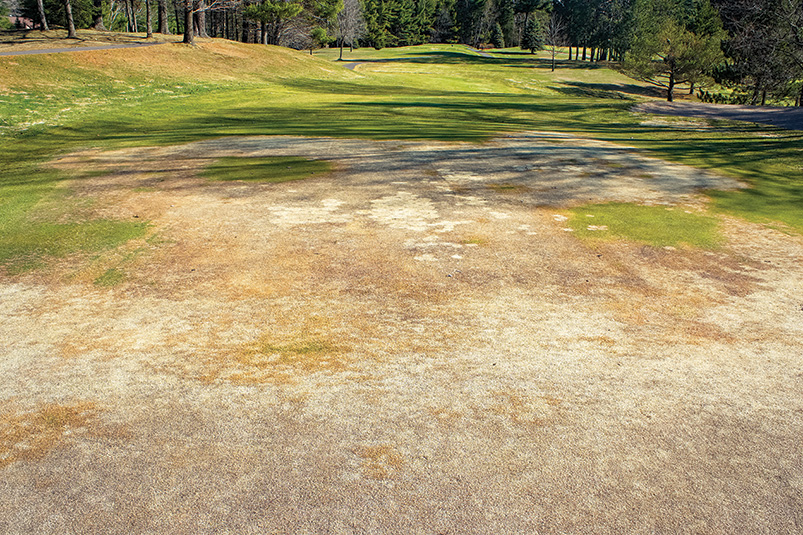 GCM_Magazine's tweet photo. What's the true cost of winter injury to turfgrass? Superintendents weigh in: https://t.co/2aJm5yew3q @GCSAA https://t.co/bP1BVPE3JM