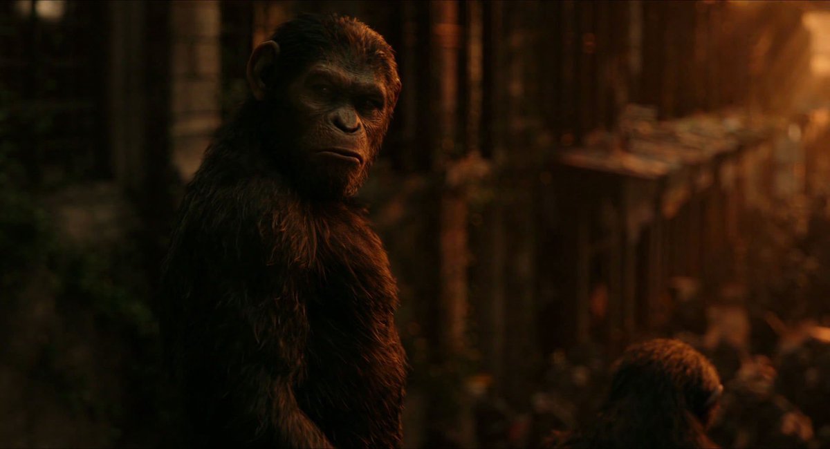 Matt Reeves Perfect Shots tweet media