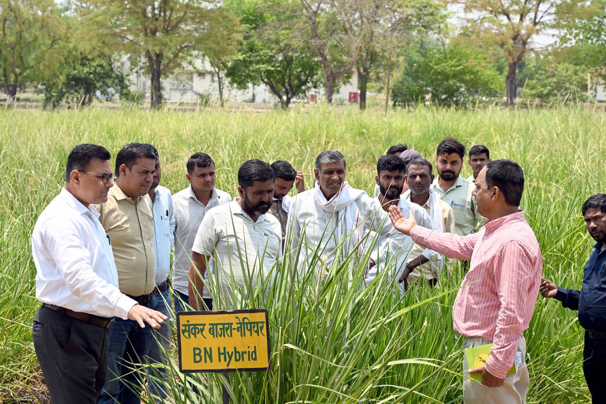ICAR - IGFRI, Jhansi tweet media