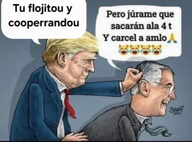 Rulo tweet media