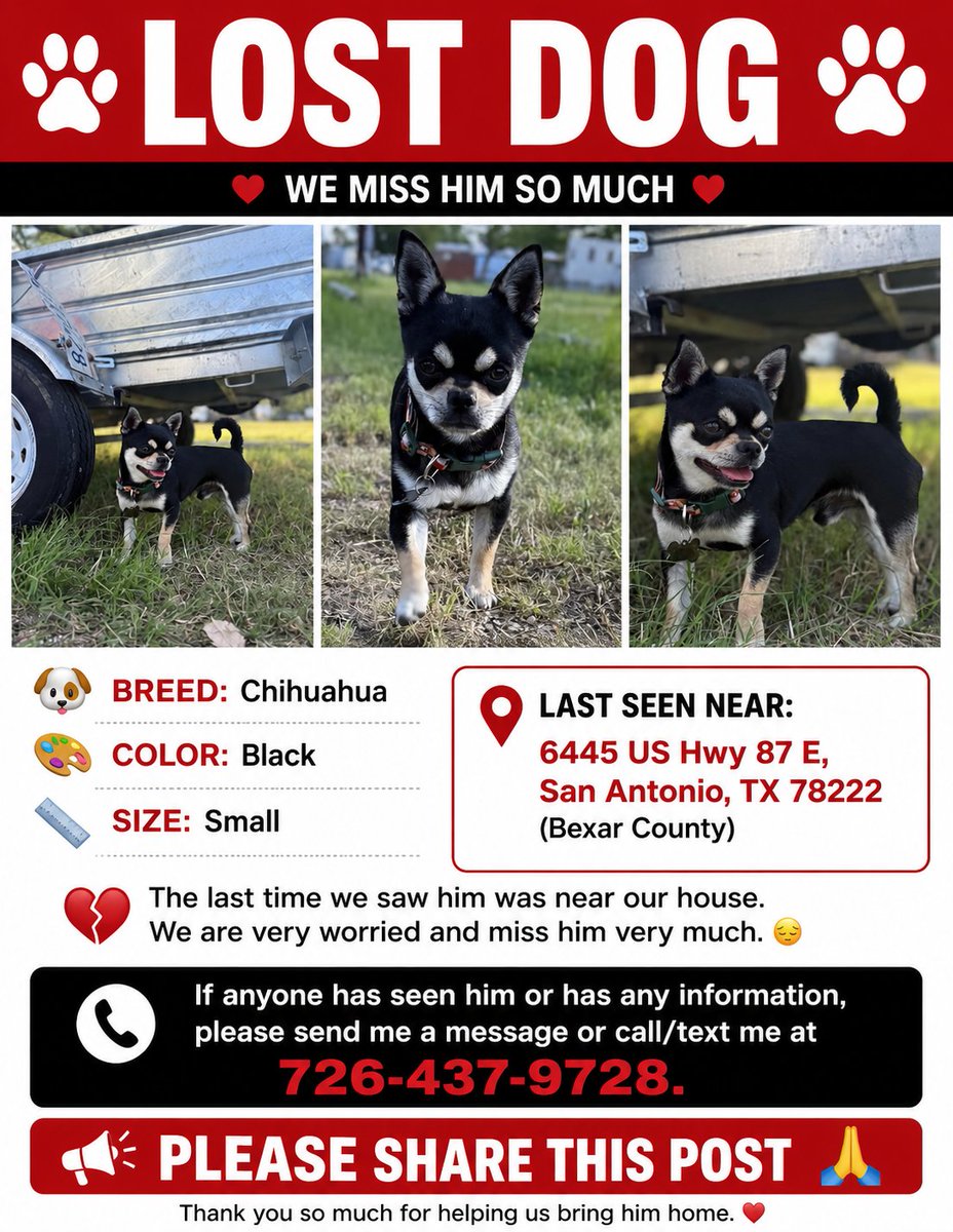sahumane's tweet photo. This Chihuahua is missing in #SanAntonio #LostDog https://t.co/AtKYra1Moz