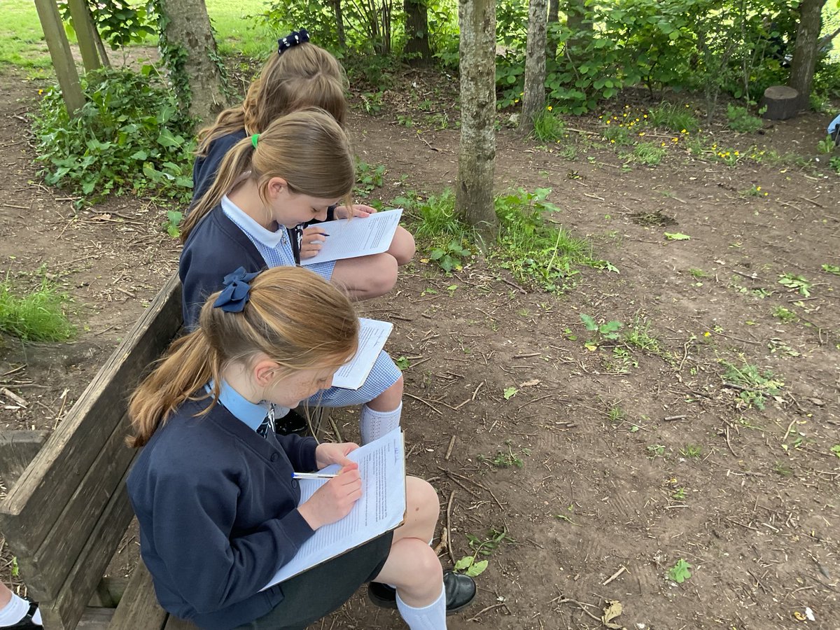 OLSMtweeters's tweet photo. Dosbarth St Peter have used our Forest School area to inspire their writing today, using the surroundings to support creativity #literacyoutside #classwithoutwalls #creativeindividuals https://t.co/hBvvrWcioE