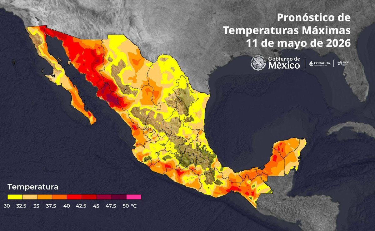 Protección Civil Sonora tweet media