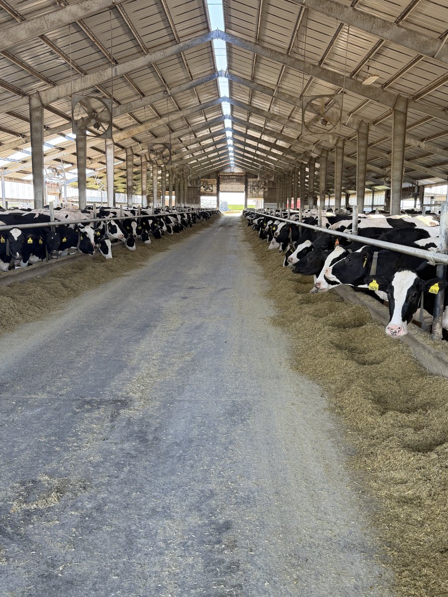 CatchMarkIT's tweet photo. This customer meeting was legen-dairy. #dadjokes #cowsneedwifi #udderlyReliable #customervisit #moovingforward https://t.co/jrFG6iIopw