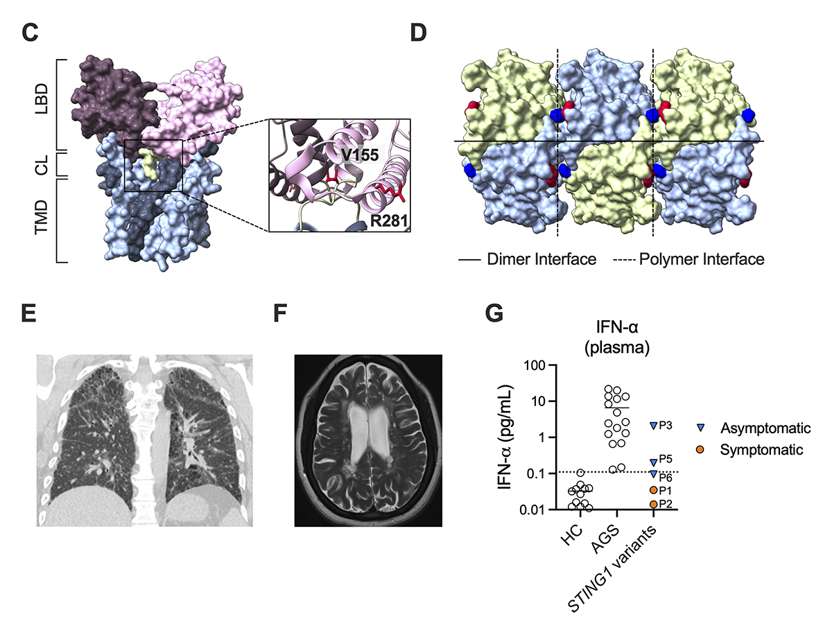 Journal of Human Immunity tweet media
