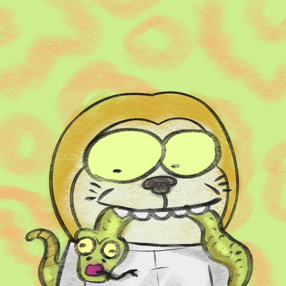 OCTO 🥷 tweet media