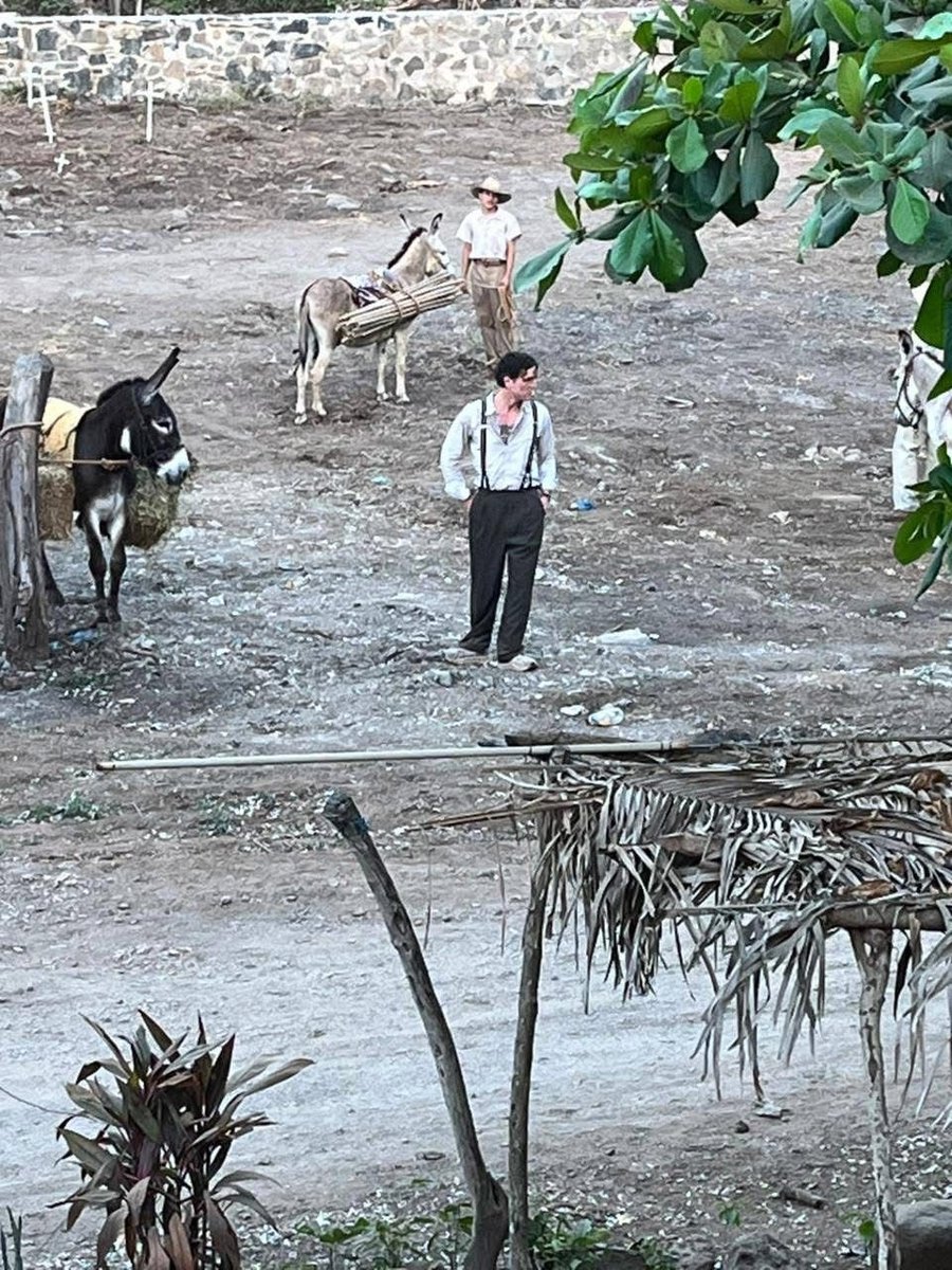 Pedro Pascal Photos tweet media