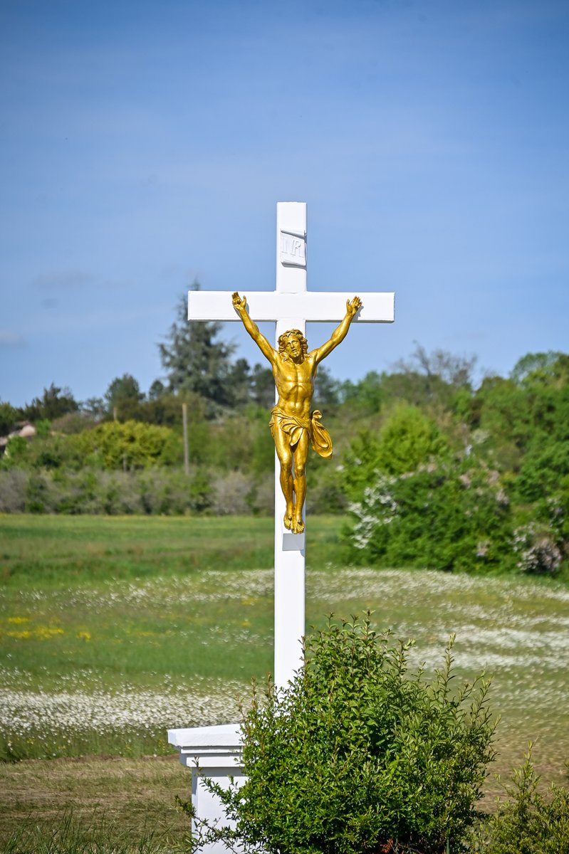 soscalvaires's tweet photo. Une #croix tachée et grise, un #Christ rouillé, une buisson mal dégrossi, voilà ce que les gens apercevaient s'ils ne roulaient pas trop vite.
✨ Mais depuis un mois, la voilà resplendissante de #lumière sous le #soleil de #Guyenne !
Bravo à nos bénévoles !
#soscalvaires https://t.co/d9JFG6EWcf