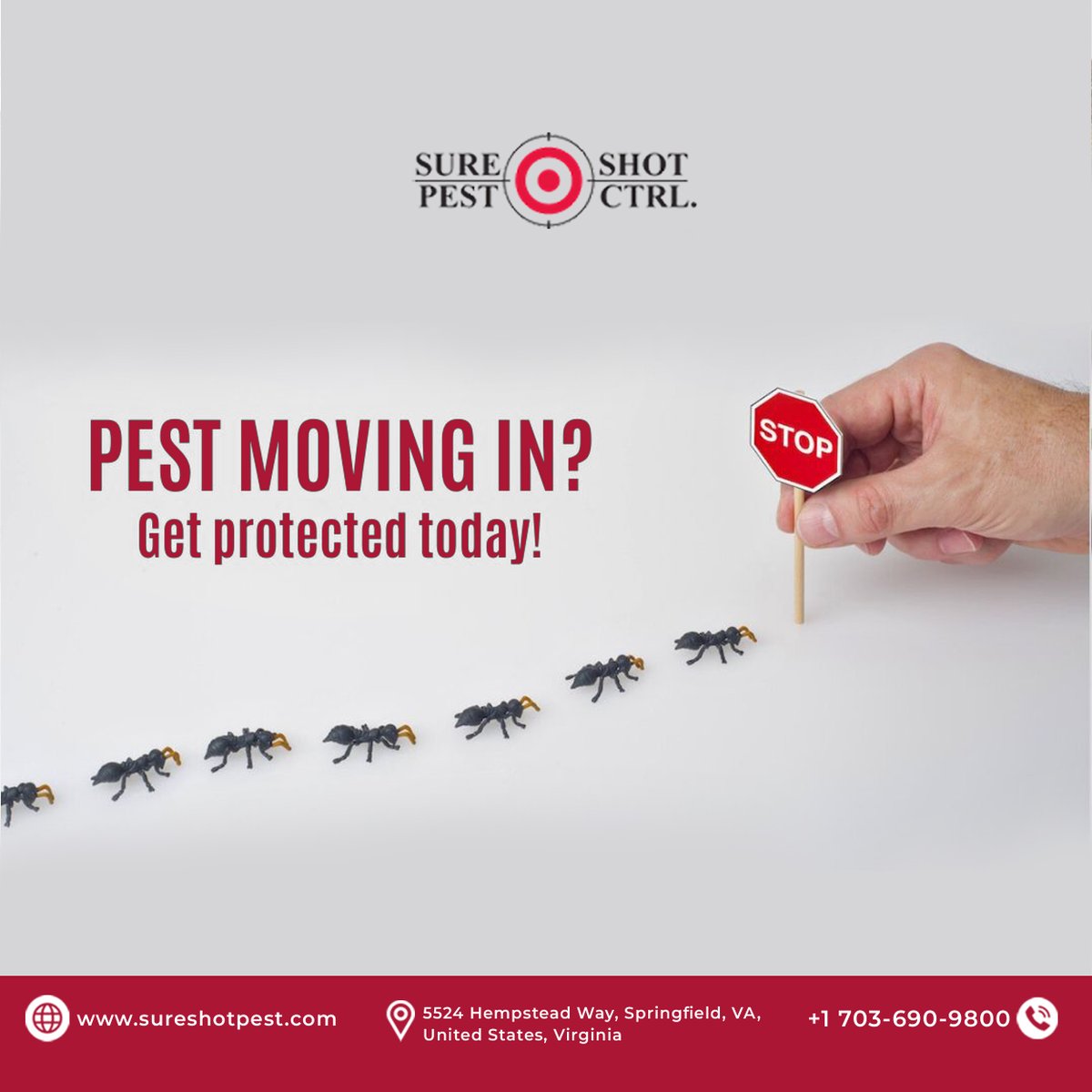 sure_shotpest's tweet photo. Stop Pests Before They Settle In 🚫

Pests moving in? Get protected today!
Ants, termites, rodents &amp; more don’t wait until the problem grows. Protect your Springfield, VA home now

https://t.co/04rPkmJzCL

#PestControl #SpringfieldVA #AntProblem 
#TermiteInspection #RodentControl https://t.co/GxZG1vRJqv