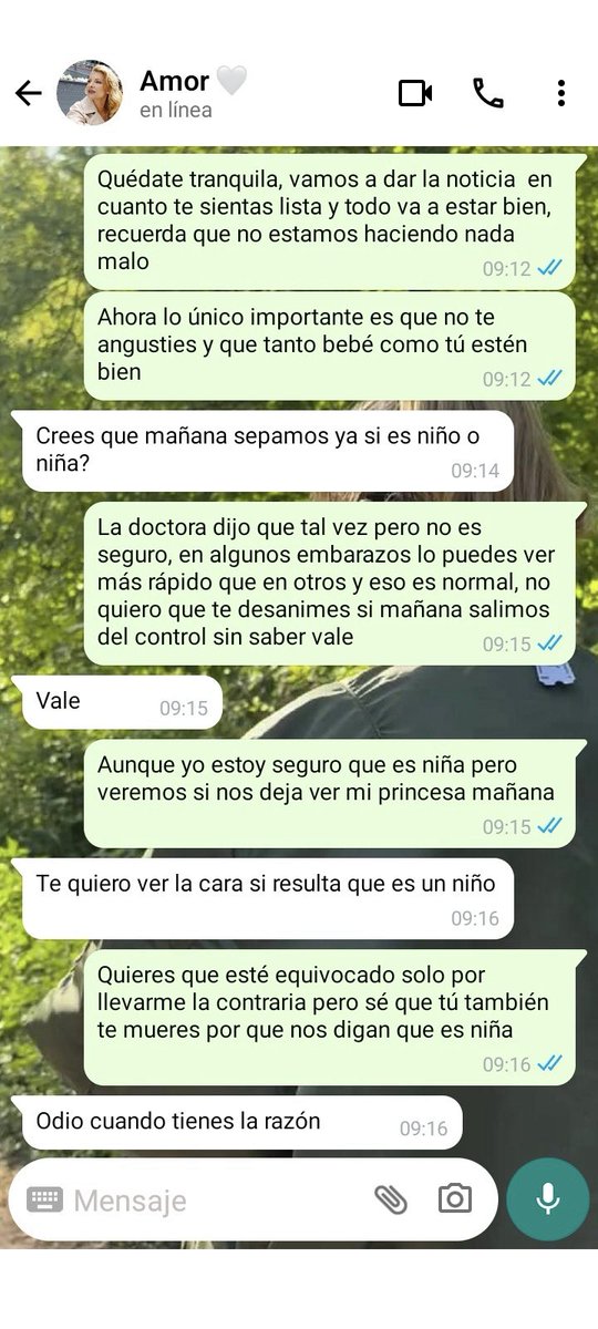 Z. 🥭 tweet media