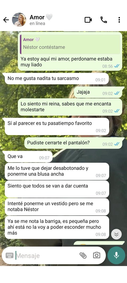 Z. 🥭 tweet media