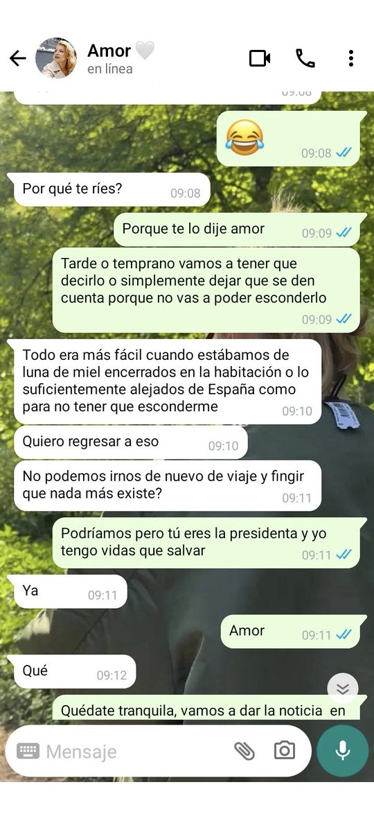 Z. 🥭 tweet media