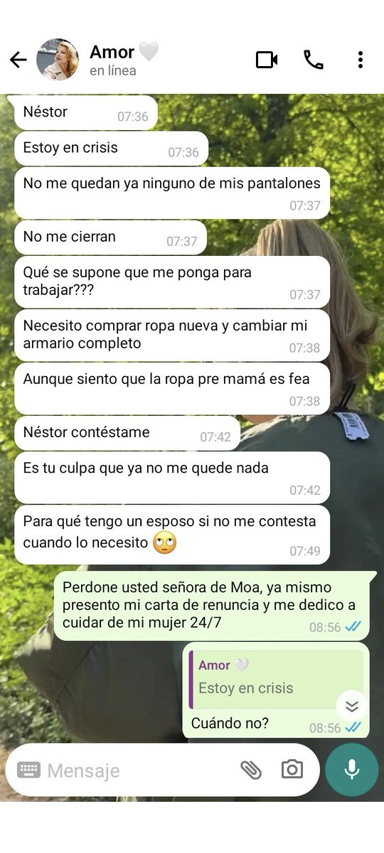 Z. 🥭 tweet media