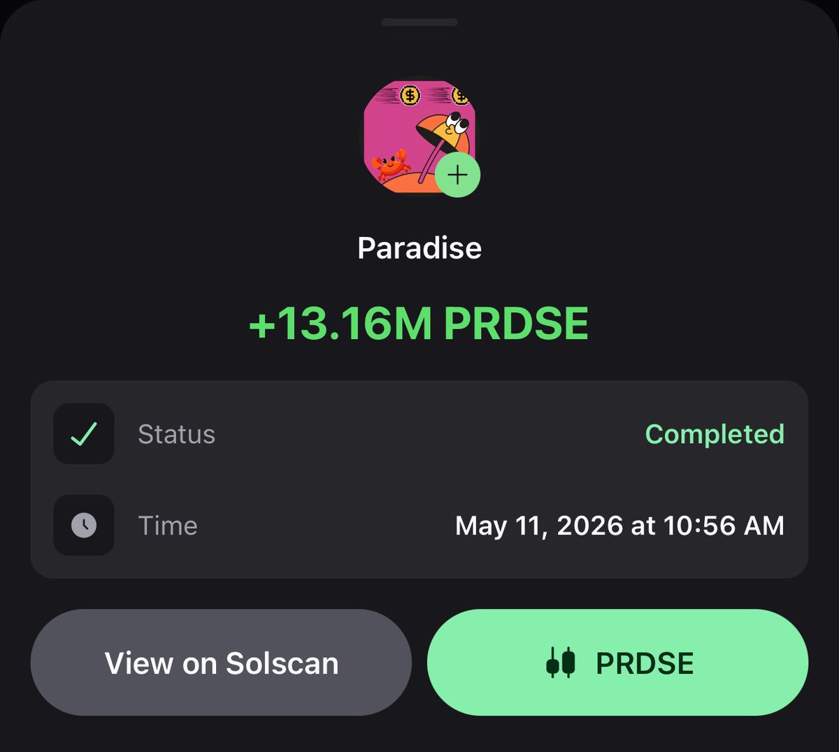 Paradise tweet media