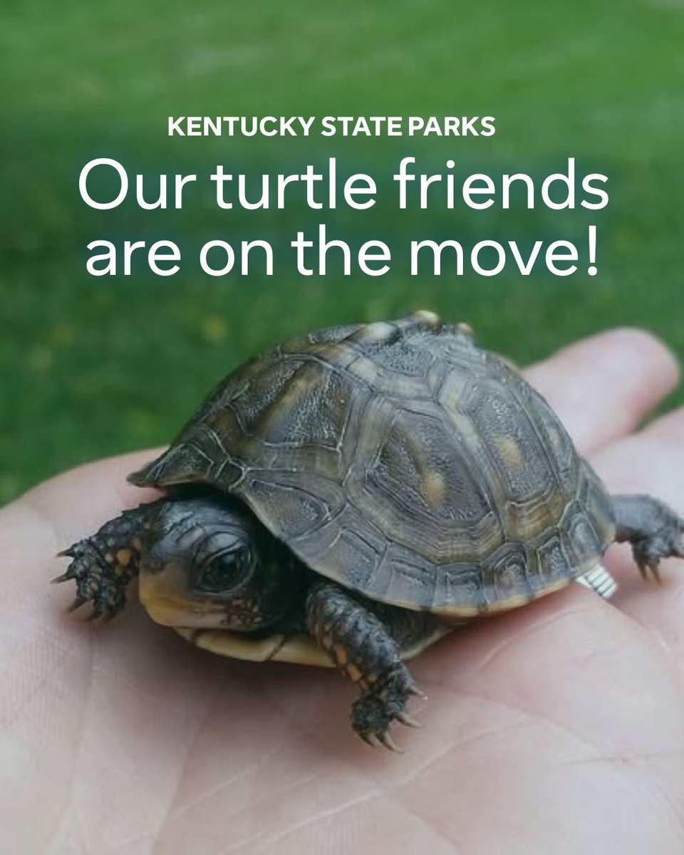 KentuckyStateParks tweet media