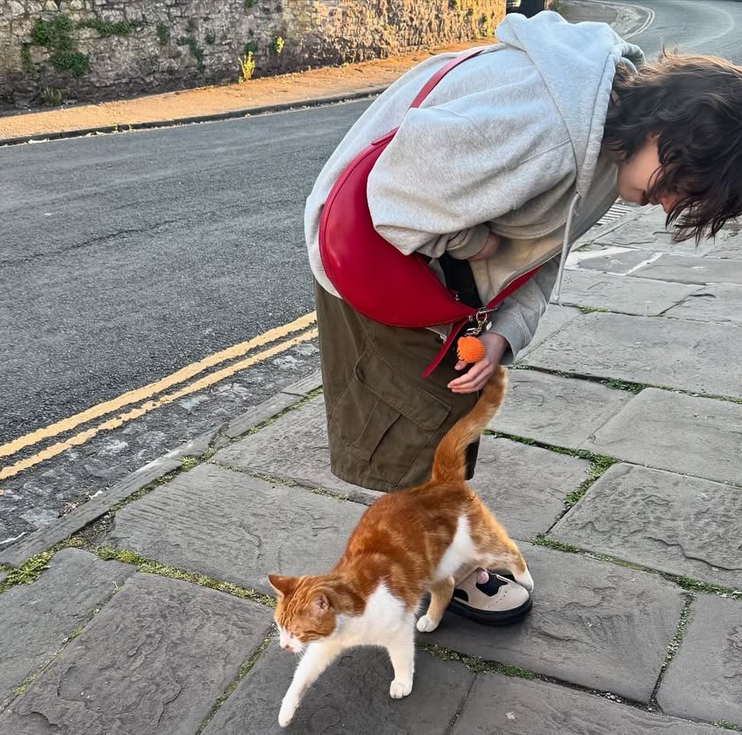 𝙀𝙢𝙢𝙖𝙬𝙤𝙡𝙛𝙯𝙯 🐺🤍 tweet media