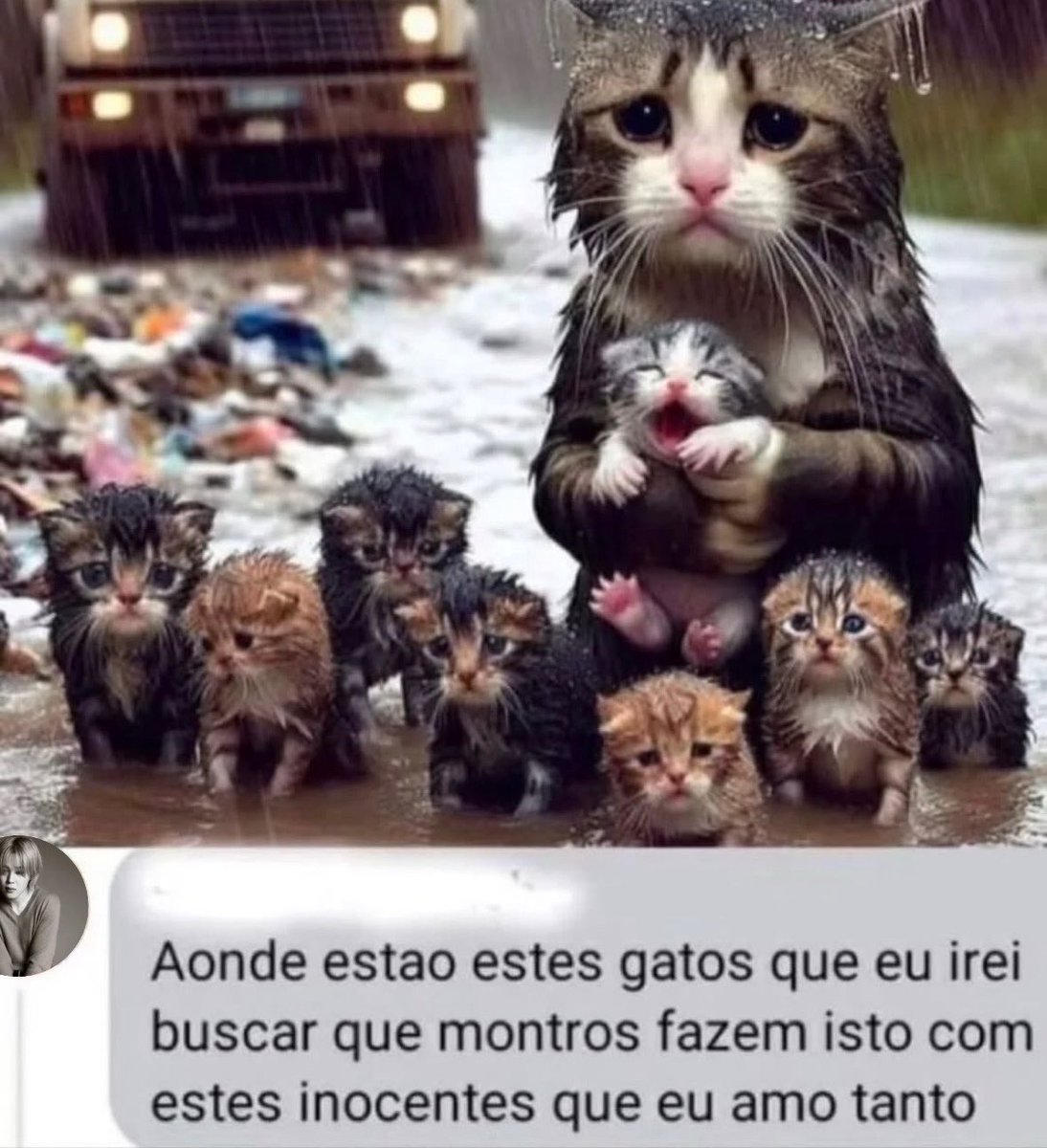 acervo jimin tweet media