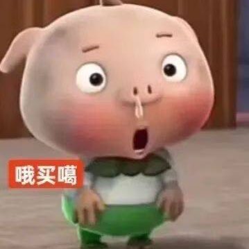 slllamme's tweet photo. #新头像 https://t.co/Ka7oMOYihk